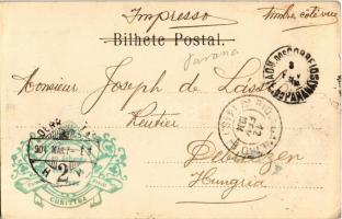 1904 Rio Chapecó, Paraná / waterfall (fl)