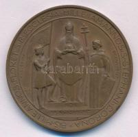 Berán Lajos (1883-1943) 1925. "XI. Pius" bronz emlékérem (45mm) T:AU,XF
HP 1261