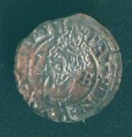 1572. Denár Ag Miksa T:3