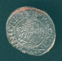 1571. Denár Ag Miksa T:3