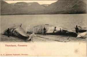 1902 Tórshavn, Thorshavn (Faroe Islands); whale hunters (EK)