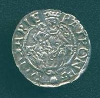 1569. Denár Ag Miksa T:2/3