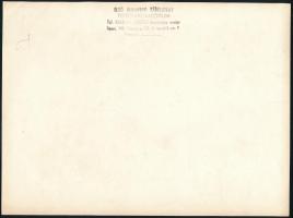 cca 1940 Báli csoportkép katonatiszttel, nagyméretű fotó, a hátoldalon pecséttel jelzett (Első Budap...