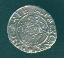 1570. Denár Ag Miksa T:2/3