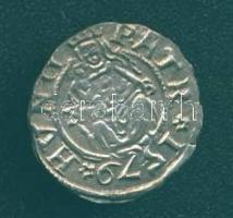 1579. Denár Ag Rudolf T:2/3