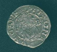 1577. Denár Ag Rudolf T:3+