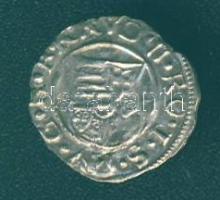 1581. Denár Ag Rudolf T:3