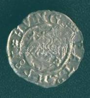 1581. Denár Ag Rudolf T:3