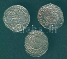Miksa 1564-1576. Denár Ag (2x) T.3- + Rudolf 1576-1608. Denár Ag T:3 kitörés