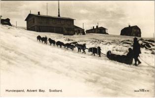 Spitsbergen, Spitzbergen (Svalbard); Advent Bay, Hundespand / dog sled