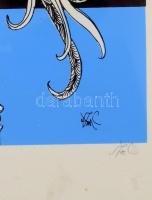 Szász Endre (1926-2003): Hölgy madárral. Szitanyomat, papír, jelzett, művészpéldány Artist's Pr...