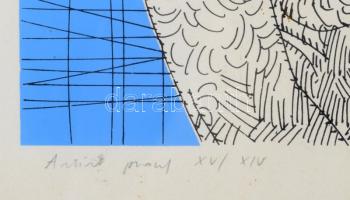 Szász Endre (1926-2003): Hölgy madárral. Szitanyomat, papír, jelzett, művészpéldány Artist's Pr...