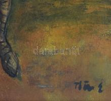 Tóth Ernő (1949-): Hölgy és faun, 1985. Olaj, farost. Jelezve jobbra lent. Hátoldalán Tóth Ernő auto...