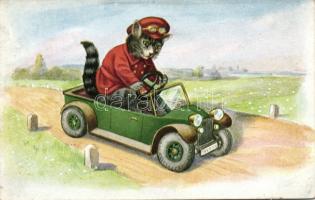 Cat driver (EK)