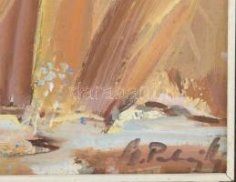 Cs. Pataj Mihály (1921-2008): Nádas. Olaj, farost, jelzett. Dekoratív, kissé kopott fakeretben, 42×7...