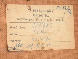 Cs. Pataj Mihály (1921-2008): Nádas. Olaj, farost, jelzett. Dekoratív, kissé kopott fakeretben, 42×7...