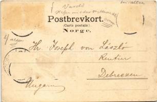 1900 Vardo, Havnen med midnatsol / harbor with midnight sun (fl)