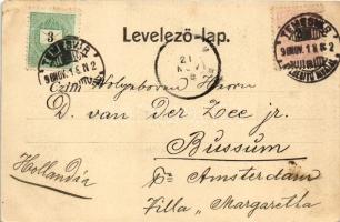 1898 (Vorläufer) Temesvár, Timisoara; Andrássy út. Králicsek Béla kiadása / street (EK)