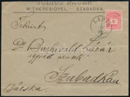 1889 Levél 5kr bérmentesítéssel, a bélyeg szélén festékcsíkkal, LIPIK - SZABADKA