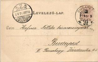 1899 (Vorläufer) Budapest XV. Rákospalota, vasútállomás, Szentháromság-templom. Divald Károly 223