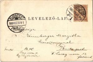 1900 Székesfehérvár, Vörösmarty szobor. Klöckner Péter kiadása (EB)