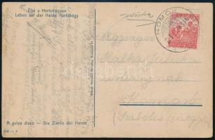 1918 Hortobágy képeslap a bélyegzésben fordított dátummal, HOMOK - Kamaró