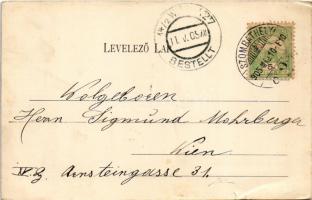 1905 Szombathely, Óperint utca, Perint híd, gyógyszertár (szakadás / tear)