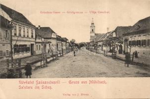 Szászsebes Görög street with church (EK)