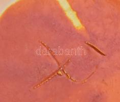 Tófej füles váza. Jelzett, hibátlan, m: 24,5 cm