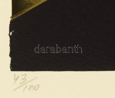 Szász Endre (1926-2003): Mappa 10 db grafikával, 1983. Szitanyomat, papír, egyenként jelzett, számoz...