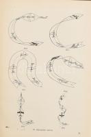 Repülőorvostan. Főszerk.: Dr. Galla Emil. Bp., 1956, Zrínyi. Egyetlen kiadás. Fekete-fehér és színes...