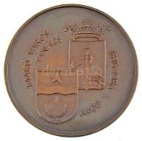 Fritz Mihály (1947-) 1986. "150 éves a Makói Városi Tanács épülete" kétoldalas bronz emlék...