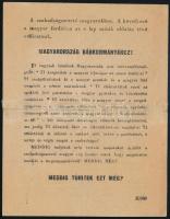 cca 1944 "Magyarország bábkormányához!", kétoldalas II. világháborús magyar-német nyelvű p...
