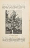 Mahács Mátyás: Gyümölcstermesztés és értékesítés. Bp., 1929, "Pátria", 416 p. Első kiadás....