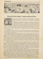 cca 1936-1937 A Kertészet és a Növényvédelem folyóiratok egy-egy évfolyama egybekötve (össz. 24 szám...