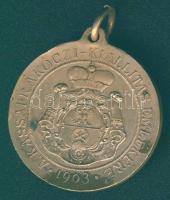 1903. "Rákóczi Ferenc - A kassai Rákóczi-kiállítás emlékére" Br emlékérem T:2/3+