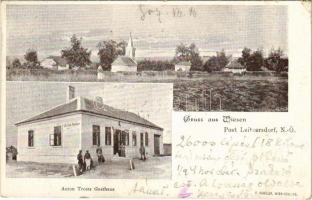 1907 Wiesen (Leitzersdorf), Anton Trosts Gasthaus / general view, inn (EK)