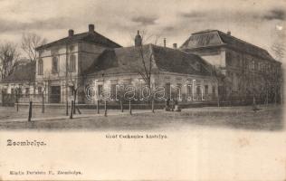 Zsombolya the castle of Count Csekonics