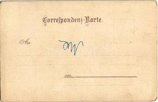 Mödling, Das alte Rathaus / old town hall. litho s: Rosenberger (EK)