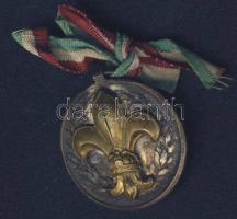 DN Cserkész emlékérem szalaggal T:2