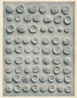 "Gróf Dessewffy Miklós barbár pénzei". Hornyánszky Viktor cs. és kir. udvari könyvnyomdája...