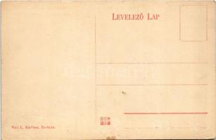 Sztrecsnó, Sztrecsény, Strecno (Tátra, Tatry); Vágvölgy, Sztrecsnó vára Zsolna mellett. Biel L. kiad...