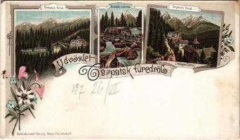 1897 (Vorläufer!) Tátra, Magas-Tátra, Vysoké Tatry; Tarpatakfüred (Wildbad Kohlbach) vízesés. Schwidernoch Károly / spa, waterfall. Art Nouveau, floral, litho (vágott / cut)