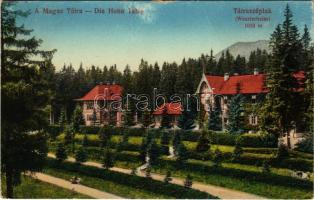 Tátraszéplak, Tatranska Polianka, Westerheim (Magas-Tátra, Vysoké Tatry); szálloda, villa / hotel, villa (kis szakadás / small tear)