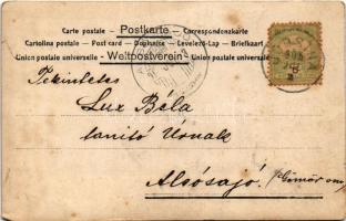 1905 Losonc, Lucenec; Állami tanító képző intézet 1905-ben végzett növendékei és tanárai. Bergtraun ...