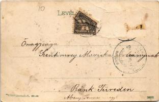 Sepsiszentgyörgy, Sfantu Gheorghe; Potsa park. Benkő M. kiadása / park (fa)