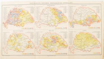 cca 1890 Magyarország népessége hitfelekezetek szerint, rajzolta: Homolka József, Bp., Posner Károly Lajos és fia, a Pallas Nagy Lexikona melléklete, a lap széle kissé sérült, 24x42 cm