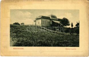 1913 Szentendre, Ábrányi kastély. W.M.F. 1911-13. (EM)