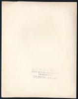 cca 1920-1930 Hennefeld jégszekrény, Szilágyi fotó, pecséttel jelzett Szilágyi műterméből, egyik sar...