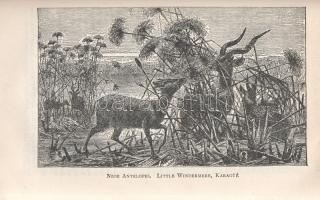 Speke, John Hanning: 
Journal of the Discovery of the Source of the Nile.
London, [1908]. J. M. De...